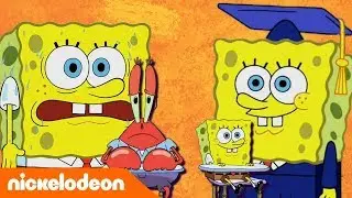 SpongeBob | Leren van Spongebob: deel 2 | Nickelodeon Nederlands