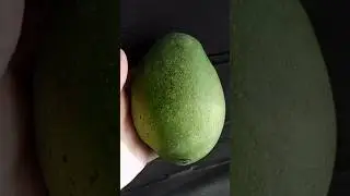 Ловите лайфхак от индийской свекрови #индия #лайфхак #манго