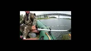 РЫБАЛКА НА СОМА С КВОКОМ!!! СОМ ПОДХОДИТ К ПРИМАНКЕ!!! ПОДВОДНАЯ СЪЁМКА!!!