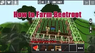 How to Grow Beetroot in the Sky | FARMING #3