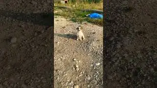 Harbi beni çok özlemiş Kibardan kıskanıyor😄