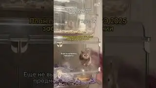 СЛИВ высоких баллов ❗️Забирай план подготовки на 90+, ссылка в шапке профиля 