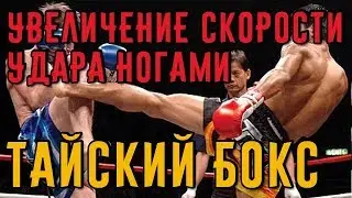 Увеличение скорости удара ногами в тайском боксе. Тайский бокс дома.