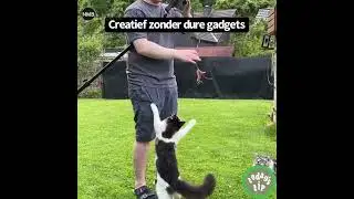 Creatief smartphone video’s maken zonder dure gadgets?