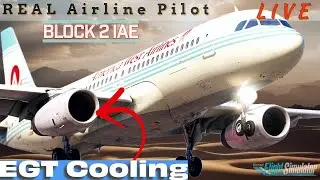 Updated EGT Cooling | Quick Turning the IAE V2500 | Fenix A320 | Real A320 Pilot | 