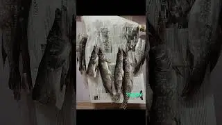 Рыбалка это жизнь 🤟Друзья пишите комментарии 👇 кто занимается еще рыбалкой присылайте фото 📷