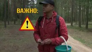 Если заблудился в лесу (видео МЧС Беларуси)
