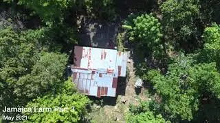 Jamaica Farm Part 3 May 2021