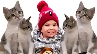Five Little Kitty Jumping On The Bed /Kittens cat Videos / Song for kids