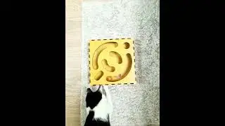 Головоломка