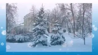 Зимние забавы в Ярославле часть вторая