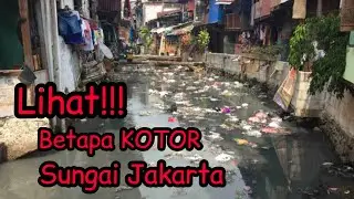 Lihatlah! Kotornya Sungai Jakarta