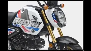 NEW 2022 Honda Grom 125 cc SPECS ||| SUPER RELEASE !!!