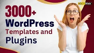3000+ WordPress Templates and Plugins