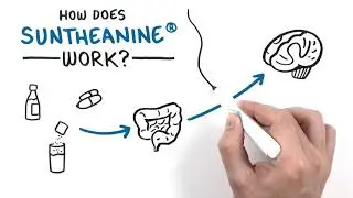 All About Suntheanine - Rilax