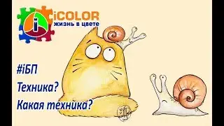 iCOLOR 