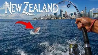 CATCH AND COOK FROM AUCKLAND CITY