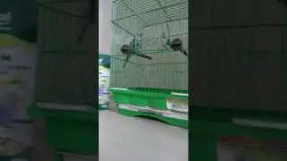 20 октября 2019 г.
