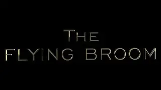 The Flying Broom
