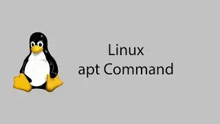 Learn Linux #19 - apt Command