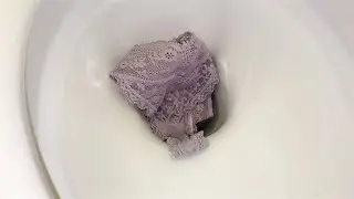 Flushing lace panties