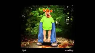 bignic - ner