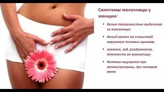 Левефрил где купить