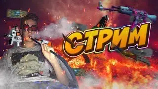 В МИРЕ ЖИВОТНЫХ / ММ ПУТЬ К СИЛЬВЕРУ