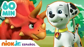 Paw Patrol, Patrulla de cachorros | 60 MIN del nuevo Paw Patrol | Nickelodeon