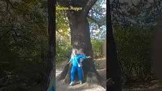 Деревья нас поддерживают