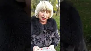 История чая