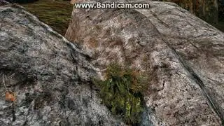 DayZ поиски снайпера
