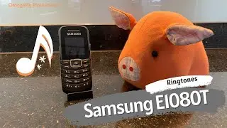 Samsung E1080T Ringtones