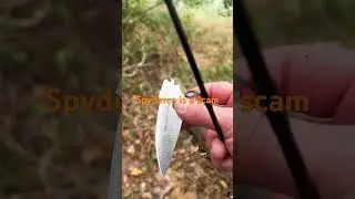 Love Spyderco. But trees dont