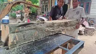 balok kayu melinjo,untuk bahan papan cor. (@woodhunter2580 )