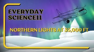 Witnessing Northern Lights at 35,000ft! ✈️🌌 #shorts #aviation #aurora