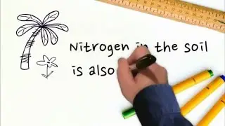 Nitrogen, presented by Infotopia