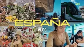VLOG | MI DÍA COMO ESTUDIANTE EN ESPAÑA 🇦🇷🇪🇸