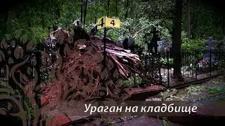 Ураган в Москве. Введенское кладбище.