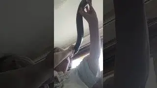 Apprentissage Shofar