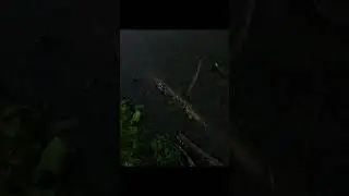 #shortvideo #рыбалка #fishing #щука #нарыбалке #спининг #рыбак