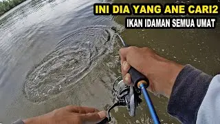 Pancing menjerit panik pun melanda
