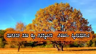 Masthuvaataketheege Sababun ukhravee Hayaathugai Huri Baeh Gehluntah