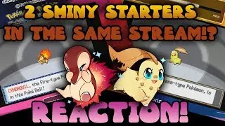 INSANE Double Gen 2 Shiny Starter in the same stream! Shiny Living Dex Reactions! #27 and #28