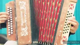 ЯШЛЕГЕМ разбор на ГАРМОНИ ЦИФРАМИ 