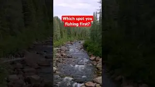You know you’ve thought about it 😂😂 #fishing #flyfishing #flyfishinglife