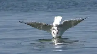 Эпизод