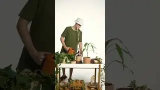 Conecte-se com a natureza até na hora de se vestir.