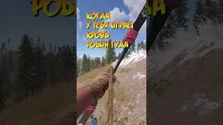 Когда у тебя играет кровь Робин Гуда 