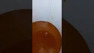 Первый мед 2018 г.